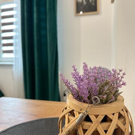 Apartament Zielony Kollataja Томашув-Мазовецки Экстерьер фото